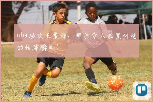 nba助攻王集锦，那些令人拍案叫绝的传球瞬间！