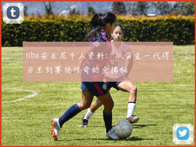 nba安东尼个人资料：从黄金一代得分王到赛场传奇的全揭秘