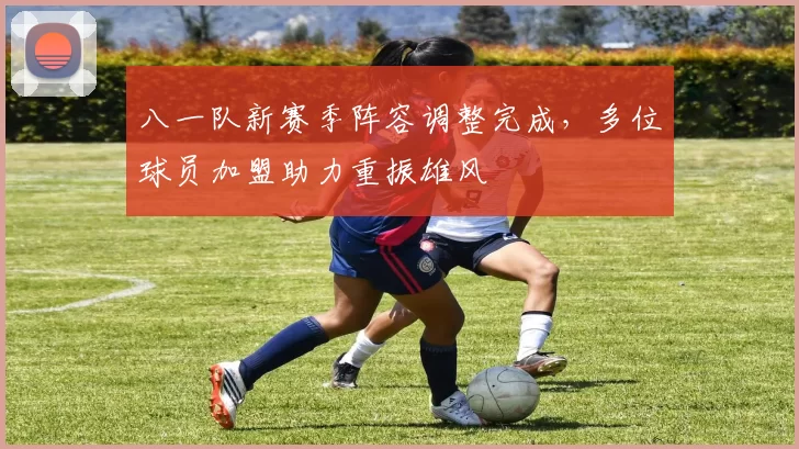 八一队新赛季阵容调整完成，多位球员加盟助力重振雄风