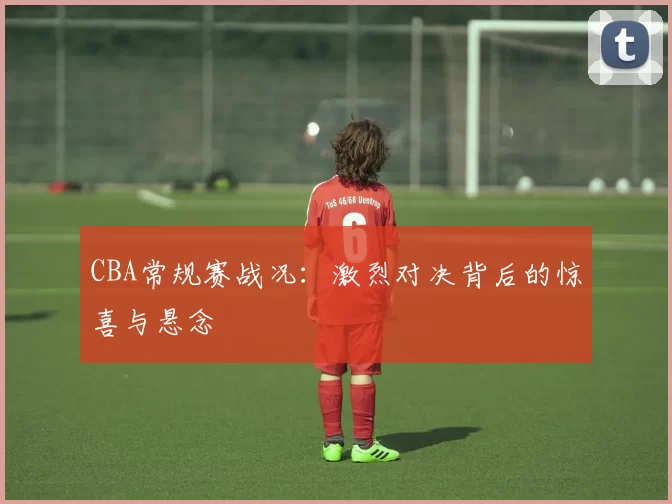 CBA常规赛战况：激烈对决背后的惊喜与悬念